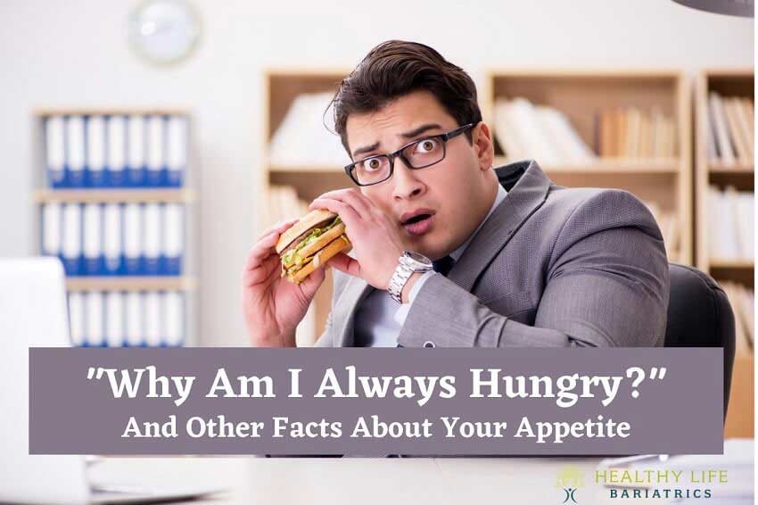 appetite-facts-why-am-i-always-hungry-los-angeles-ca-hlb