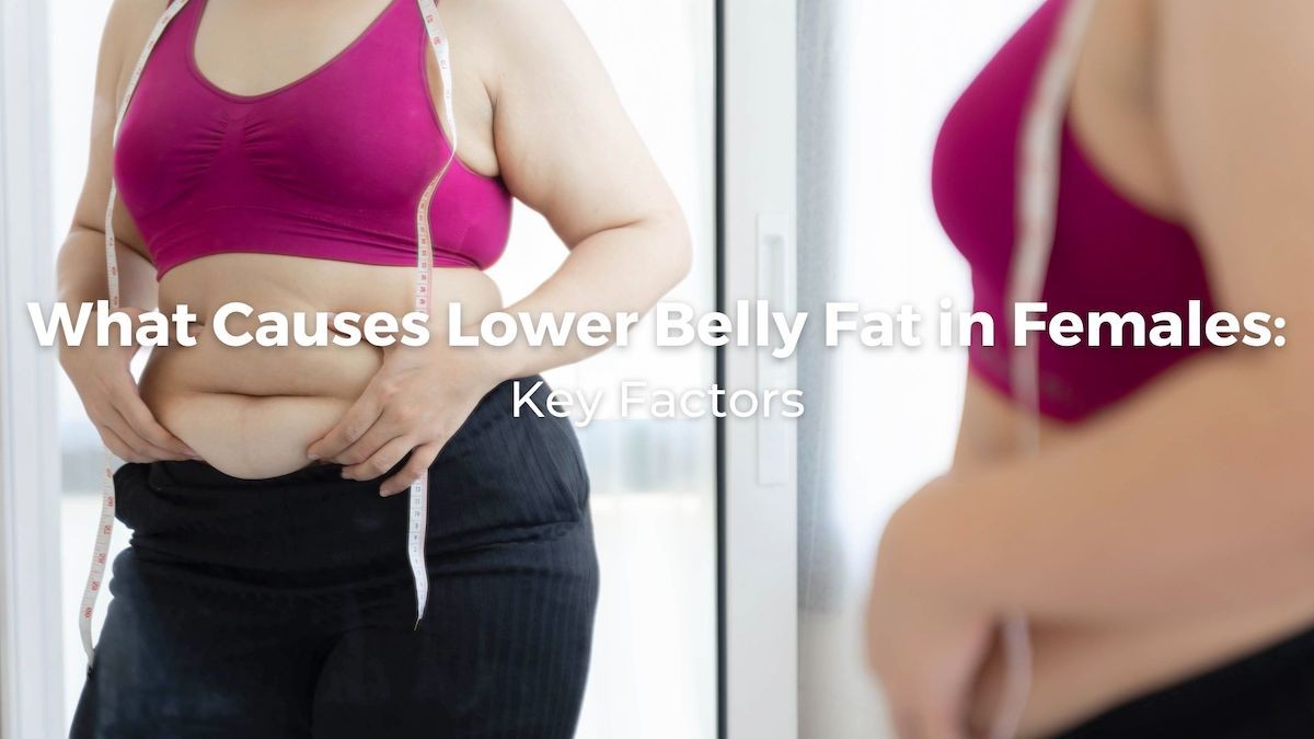 What Causes Lower Belly Fat Females BLOG 