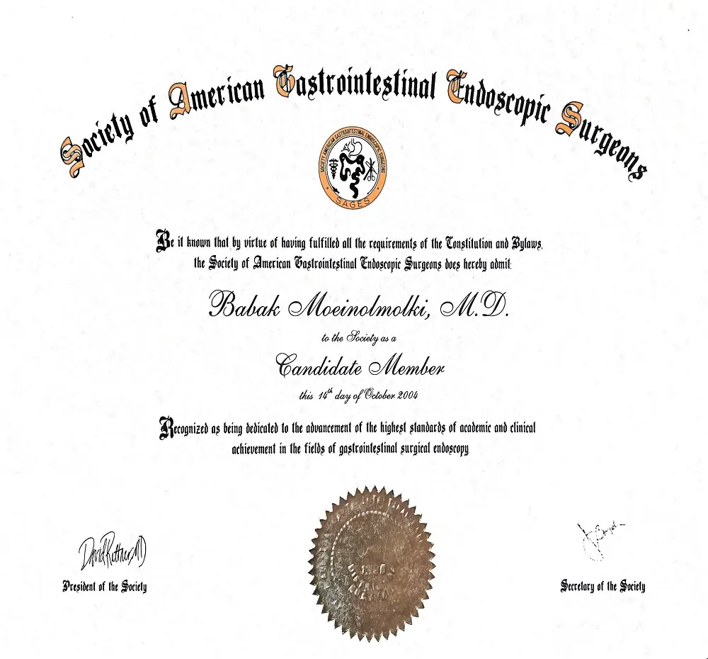 Society of American Gastrointestinal Endoscopic Surgeons Society of American Gastrointestinal Endoscopic Surgeons