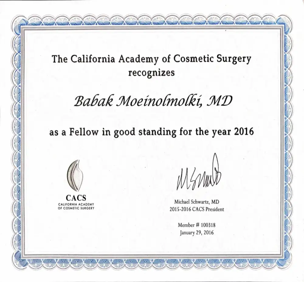 The California Academy-of Cosmetic Surgery